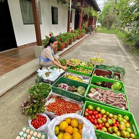 Posada Del Camino Real Pensionat Moniquirá Exteriör bild