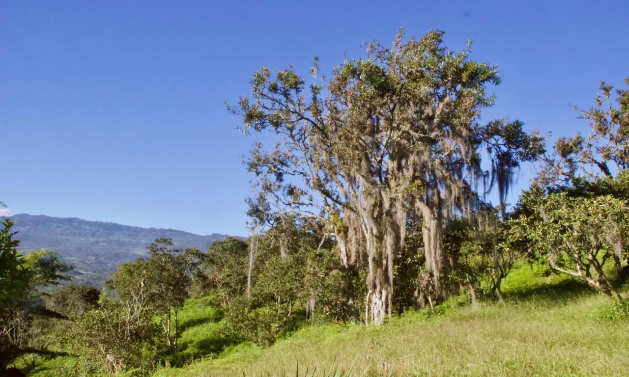 Posada Del Camino Real Pensionat Moniquirá Exteriör bild