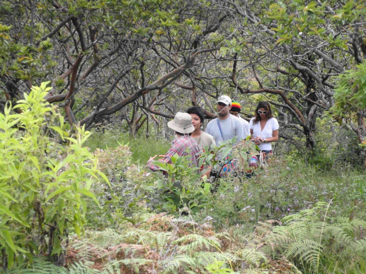 Posada Del Camino Real Pensionat Moniquirá Exteriör bild