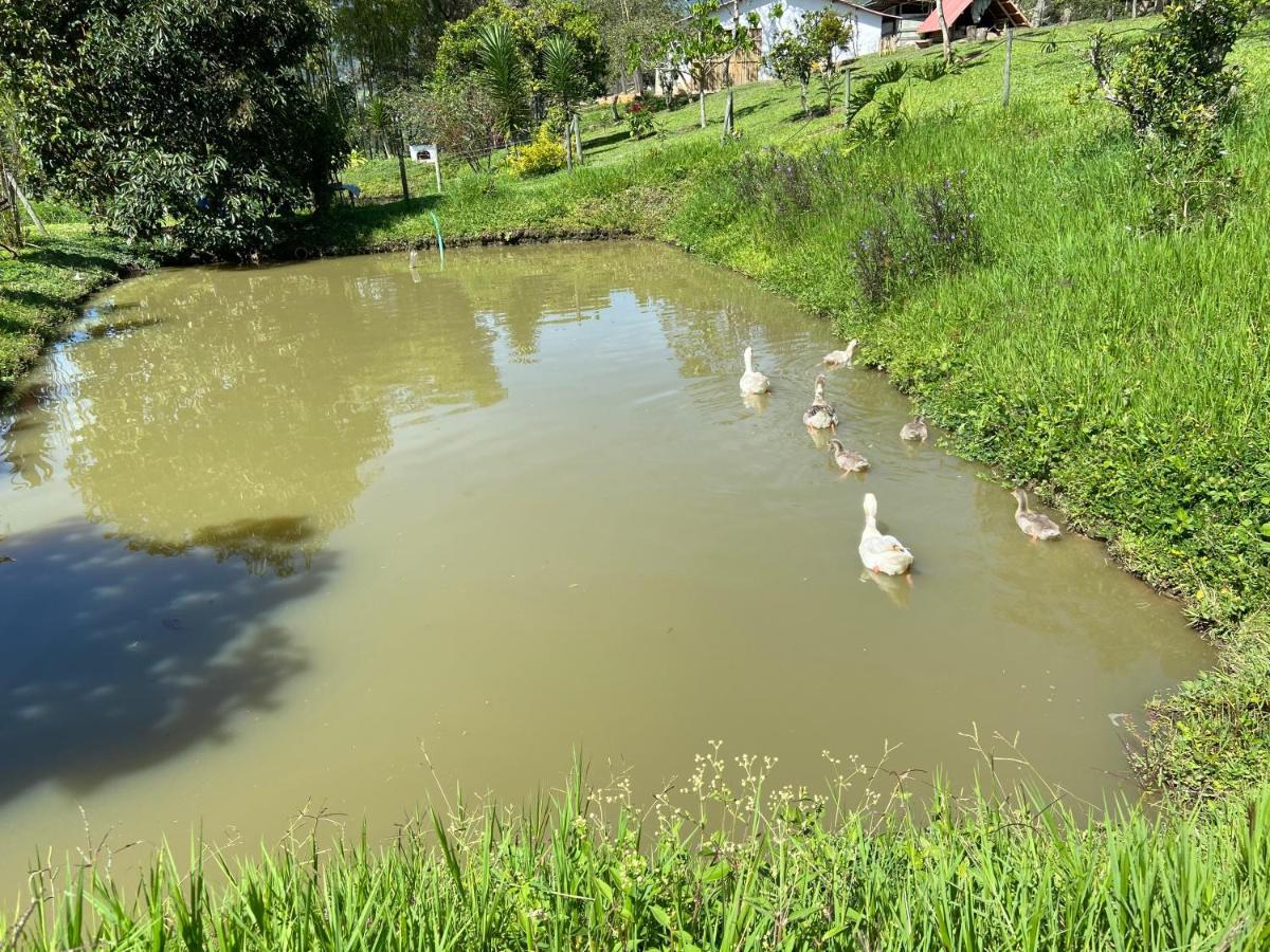 Posada Del Camino Real Pensionat Moniquirá Exteriör bild