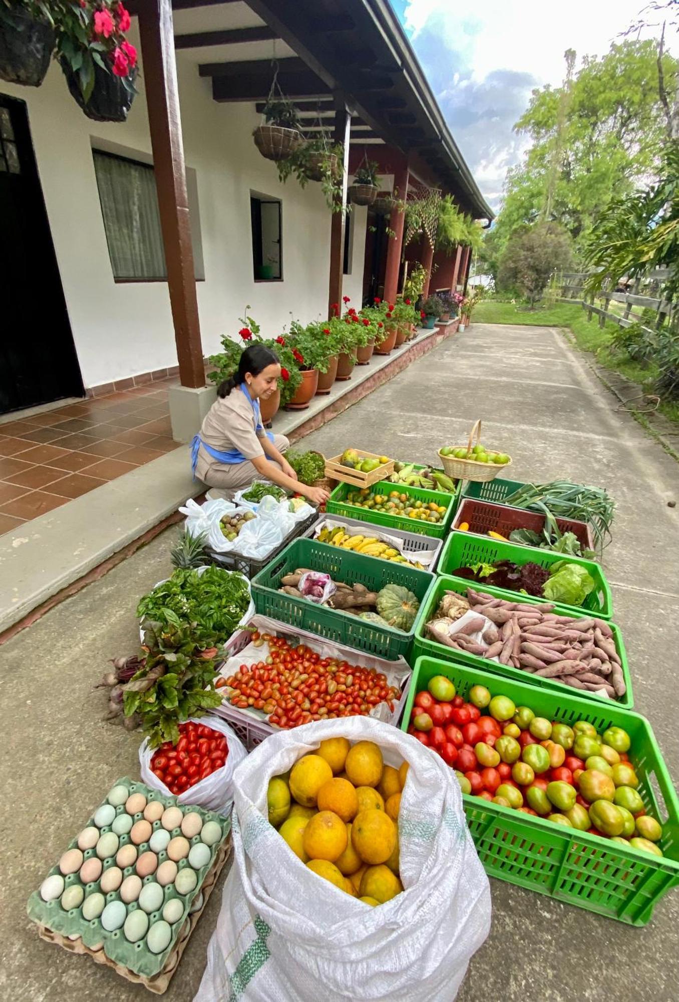 Posada Del Camino Real Pensionat Moniquirá Exteriör bild